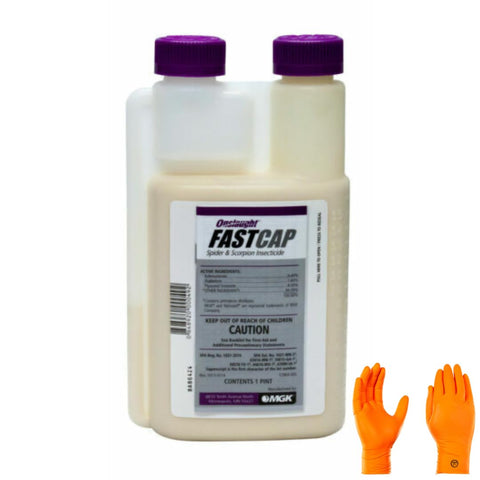 Onslaught FastCap Spider & Scorpion 16 oz bottle for indoor and outdoor use.