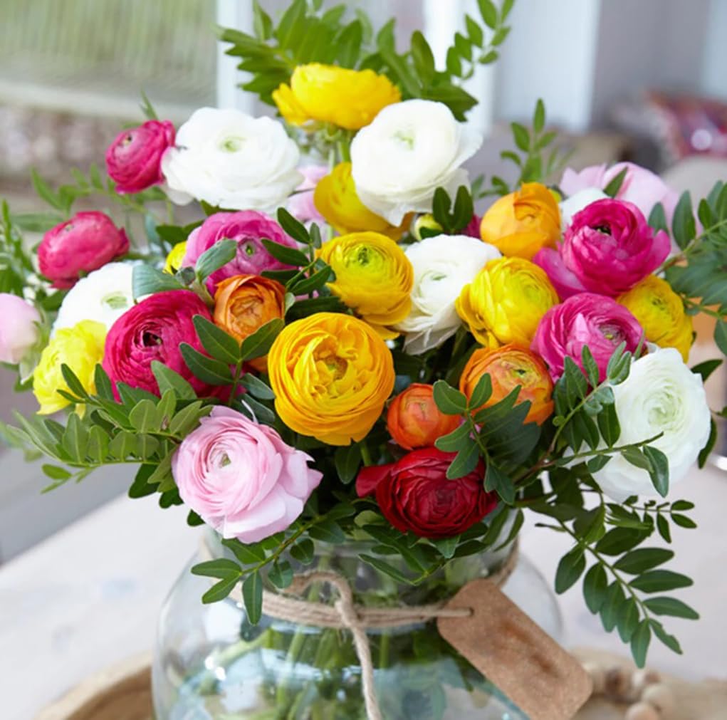 USBRANDSEED Container planting of Ranunculus delivers easy seasonal color.