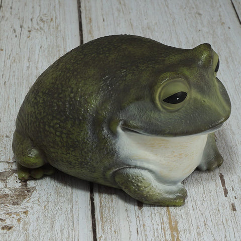 Useamie Spare Key Hider frog weatherproof material for outdoors