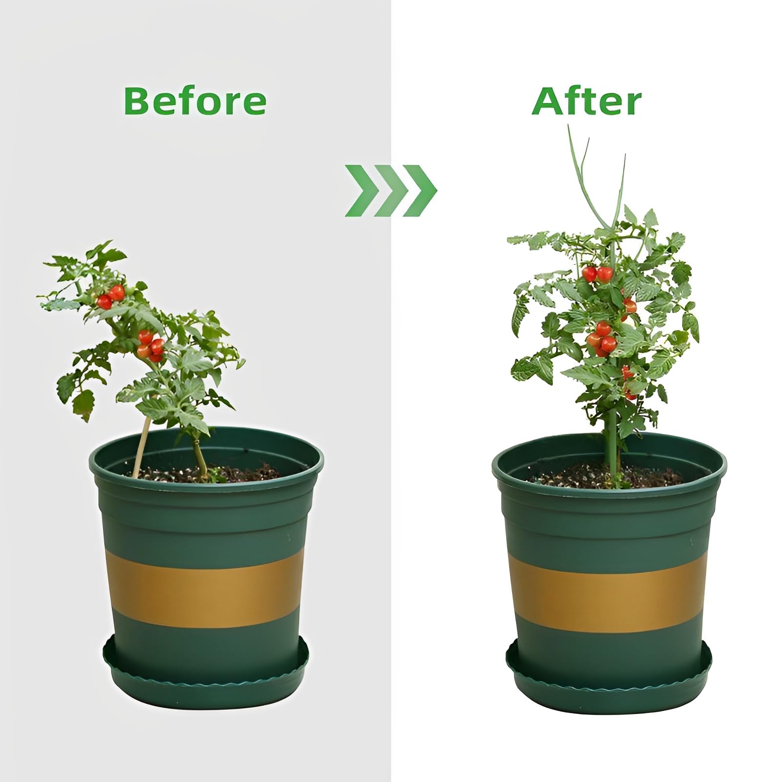 USEDGDIG indoor outdoor plant trellis in green shown.