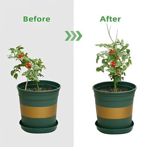 USEDGDIG indoor outdoor plant trellis in green shown.