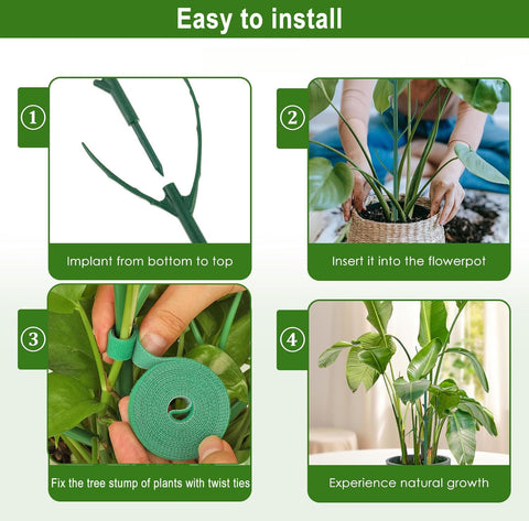 USEDGDIG Monstera support green image shows plant climbing aid.