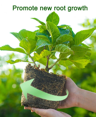 Usedgdig outdoor plants benefit from the dry nitrogen fertilizer