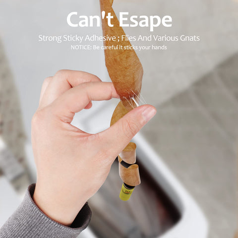 USKICH fly traps in kitchen use for discreet pest control