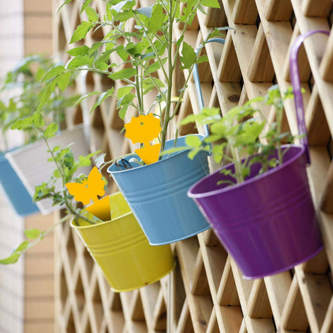 Greenhouse and nursery use with durable sticky traps.
