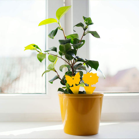 Compact shapes improve fit for small pots and decor.