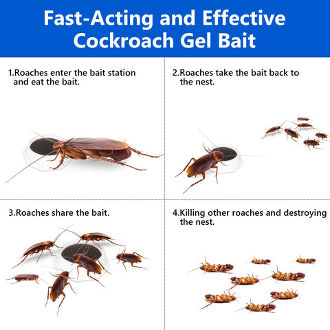USKICH roach gel bait under-sink placement enables discreet interior use.