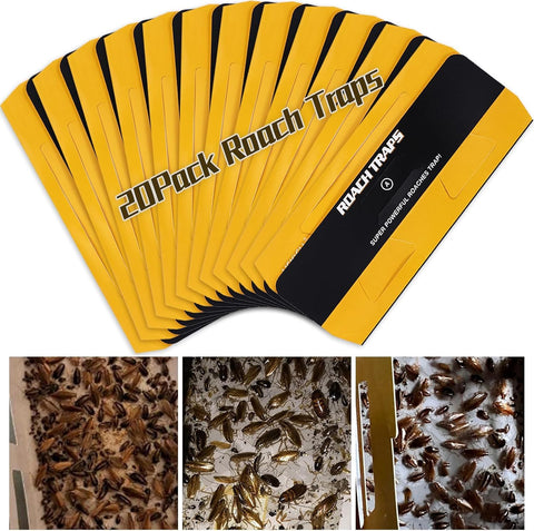 USKICH roach traps under sink for discreet, long-lasting indoor pest control.