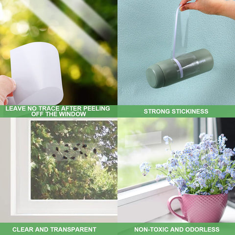 USKICH traps target gnats and houseflies at kitchen windows.