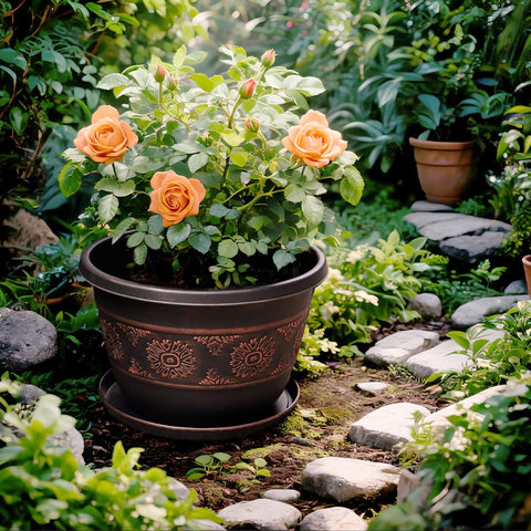 Usocik indoor-outdoor planter great for flowers herbs or small vegetables.