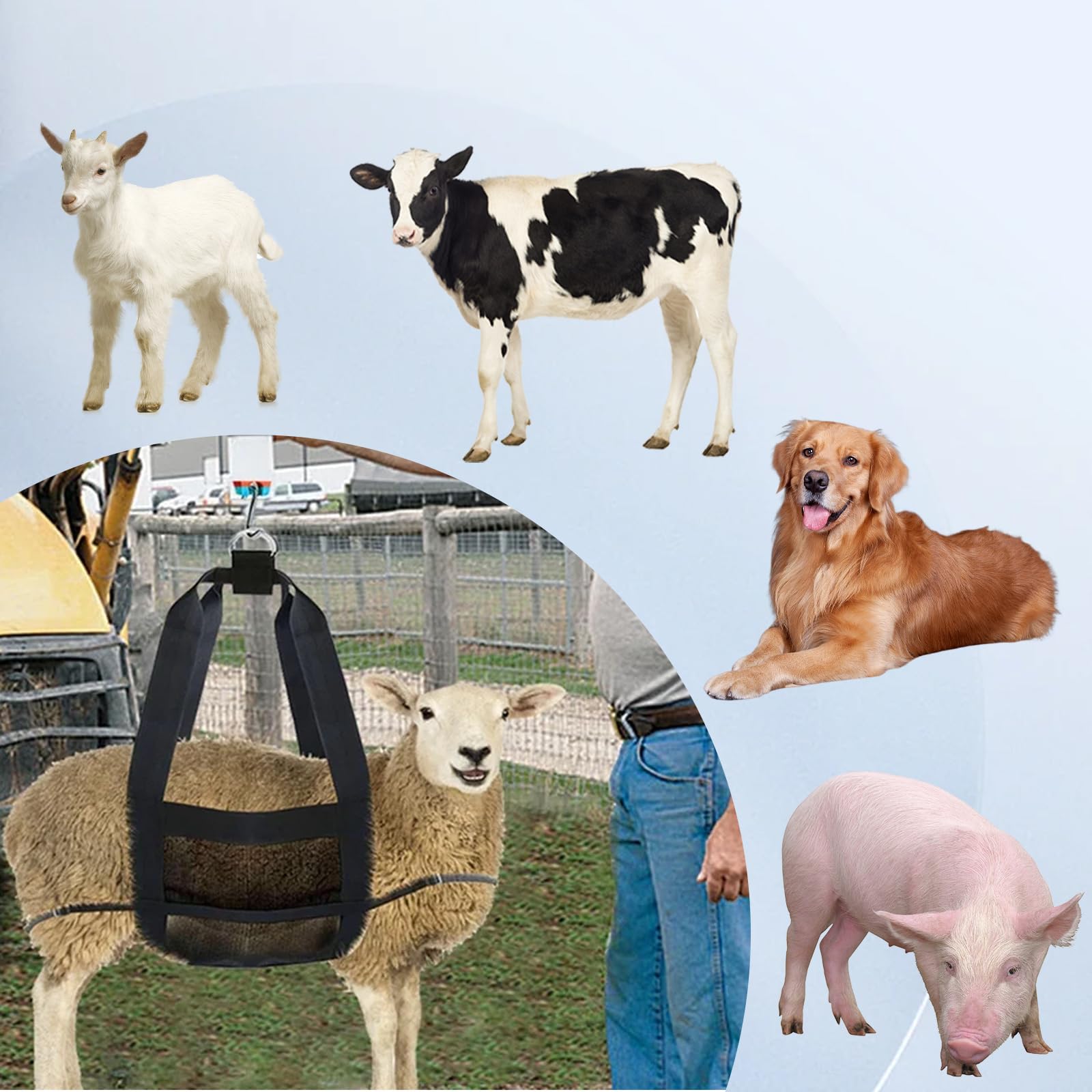 USUNFARM multi-purpose sling for nails, rehab, and weighing small animals.