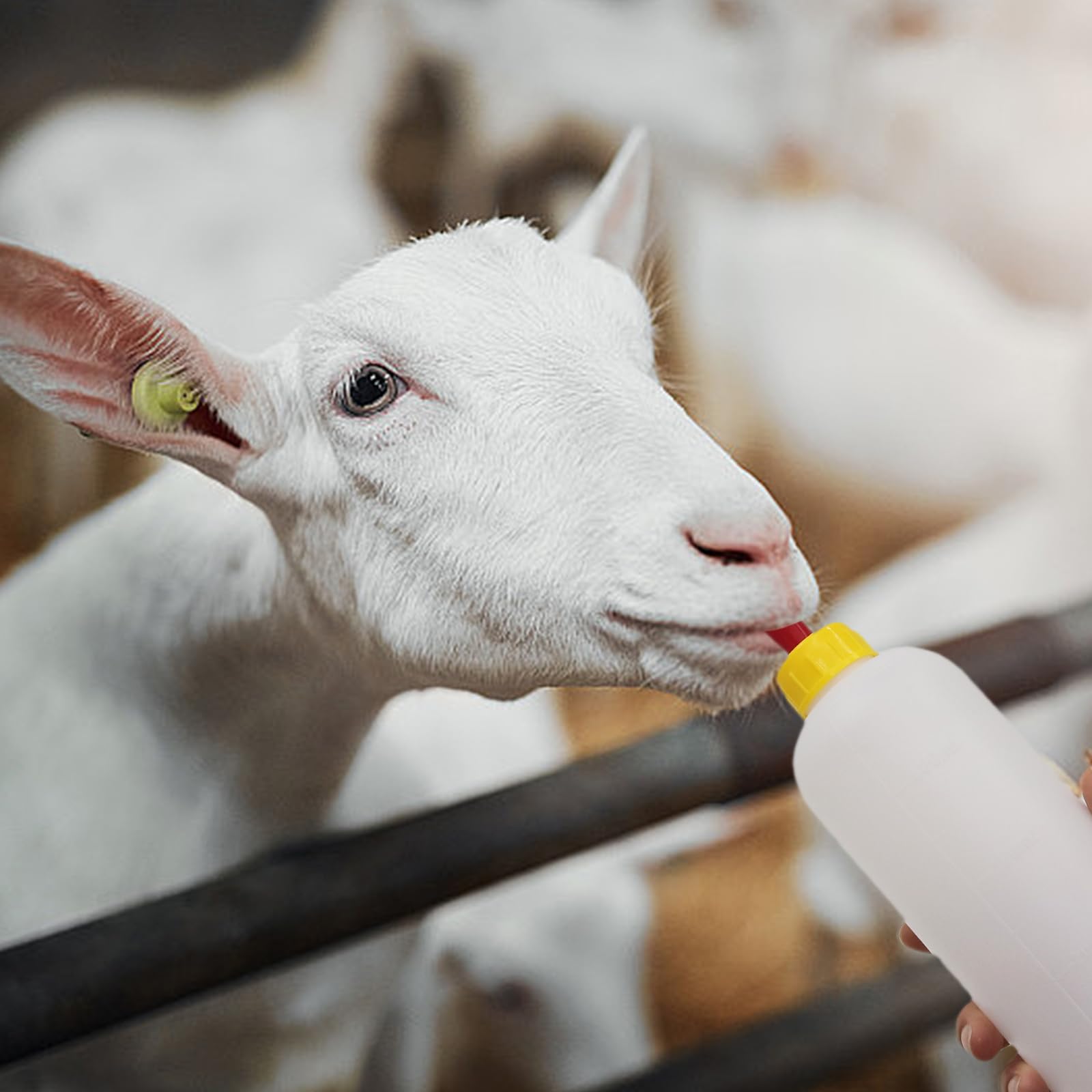 USUNFARM travel-friendly goat milk feeder fits on the go.