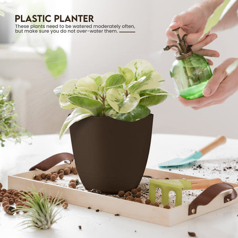 Utopia Home brown planter 5.3 inch ideal for small foliage and succulents