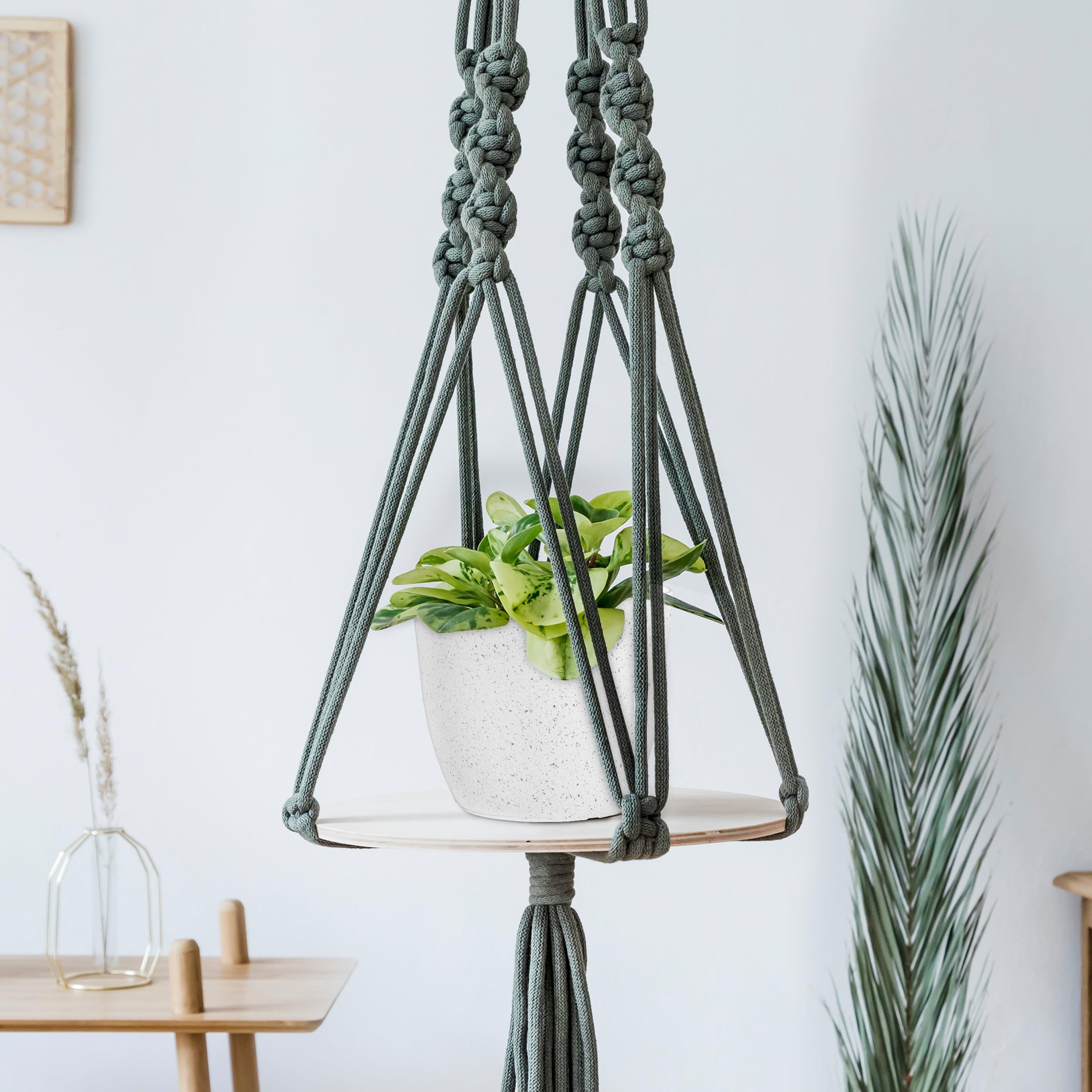 Utopia Home easy-care planters that rinse clean for tidy presentation.