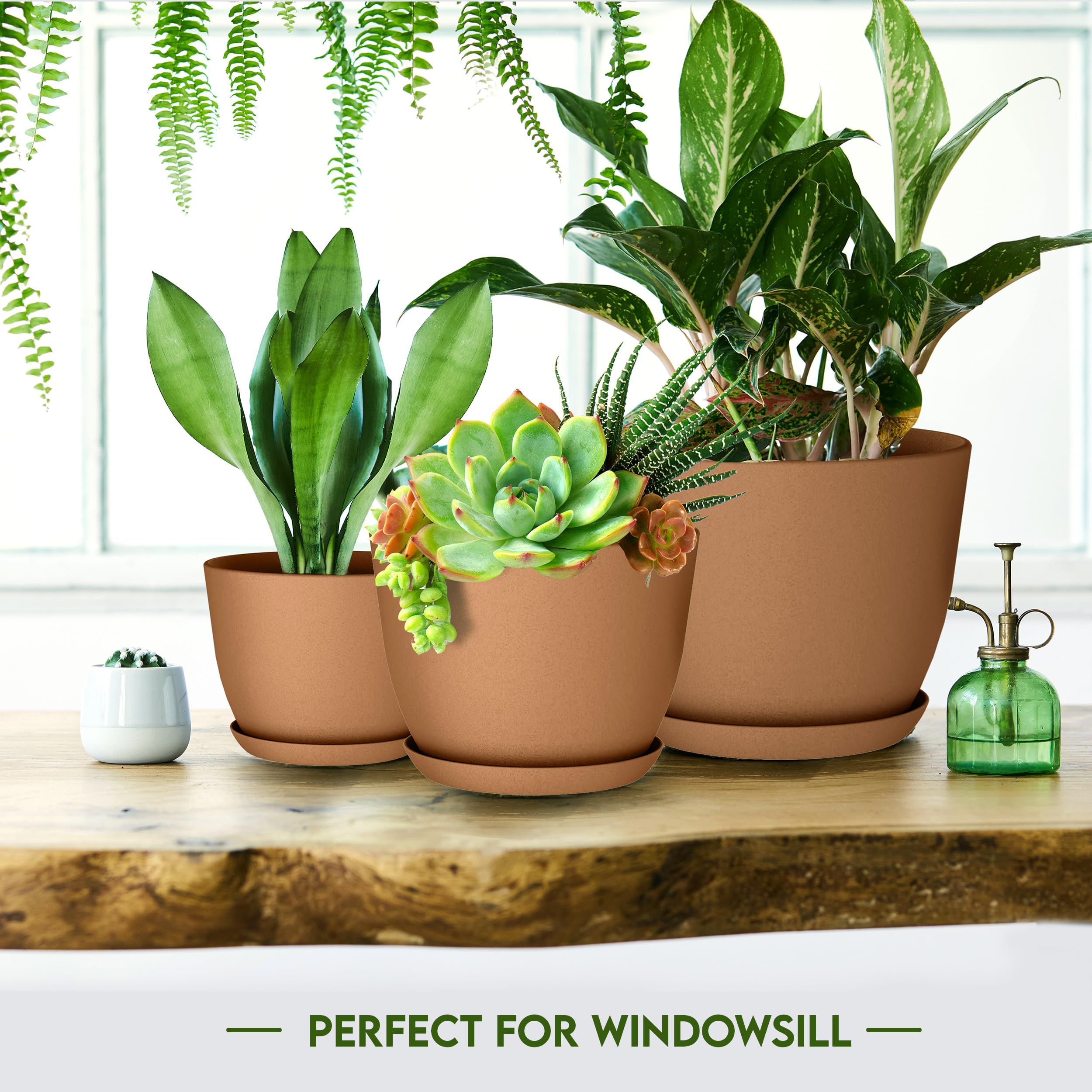 Utopia Home indoor planter with saucer adds tidy decor.