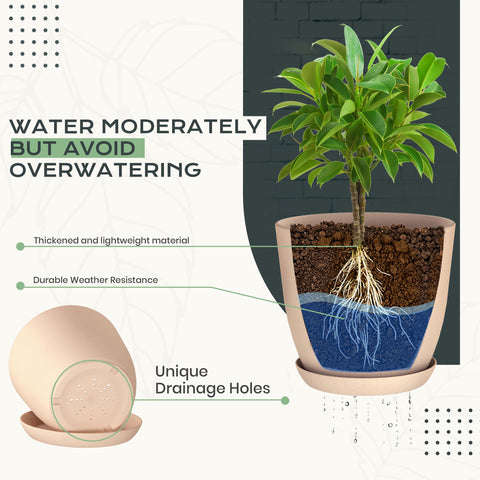 Utopia Home multi-size pots showcase space-saving design for home or office decor.
