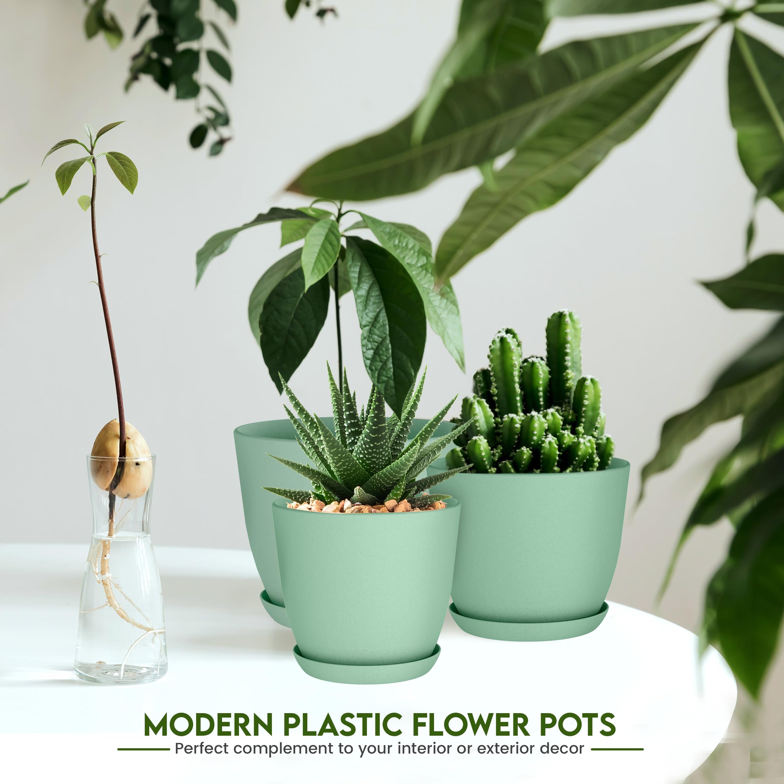 Utopia Home 4.8-inch plant pot with drainage ideal for succulents.