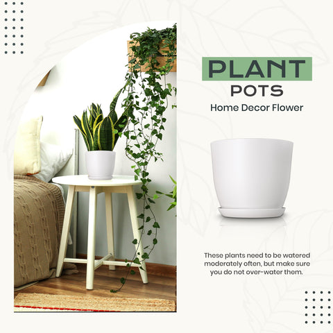 Utopia Home 5-3-inch pot with subtle color and smart drainage