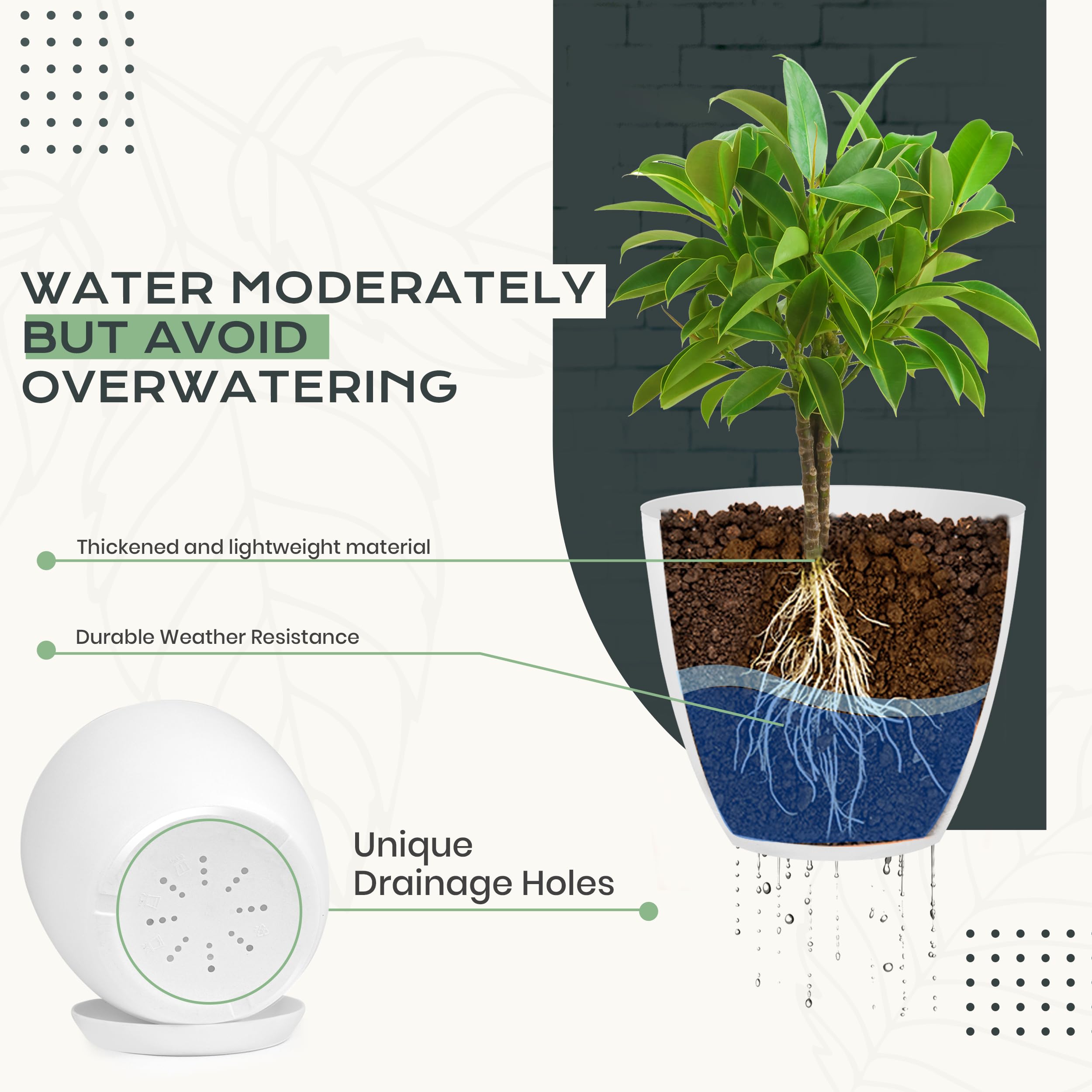 Utopia Home 6-inch pot ideal for versatile indoor plants with drainage plugs