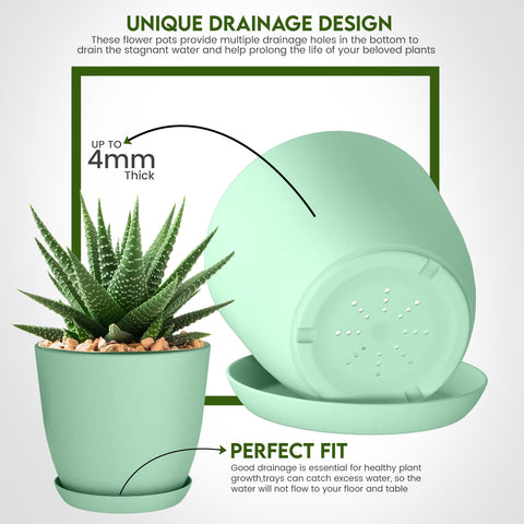 Utopia Home 6-inch plant pot with drainage for tidy spaces.