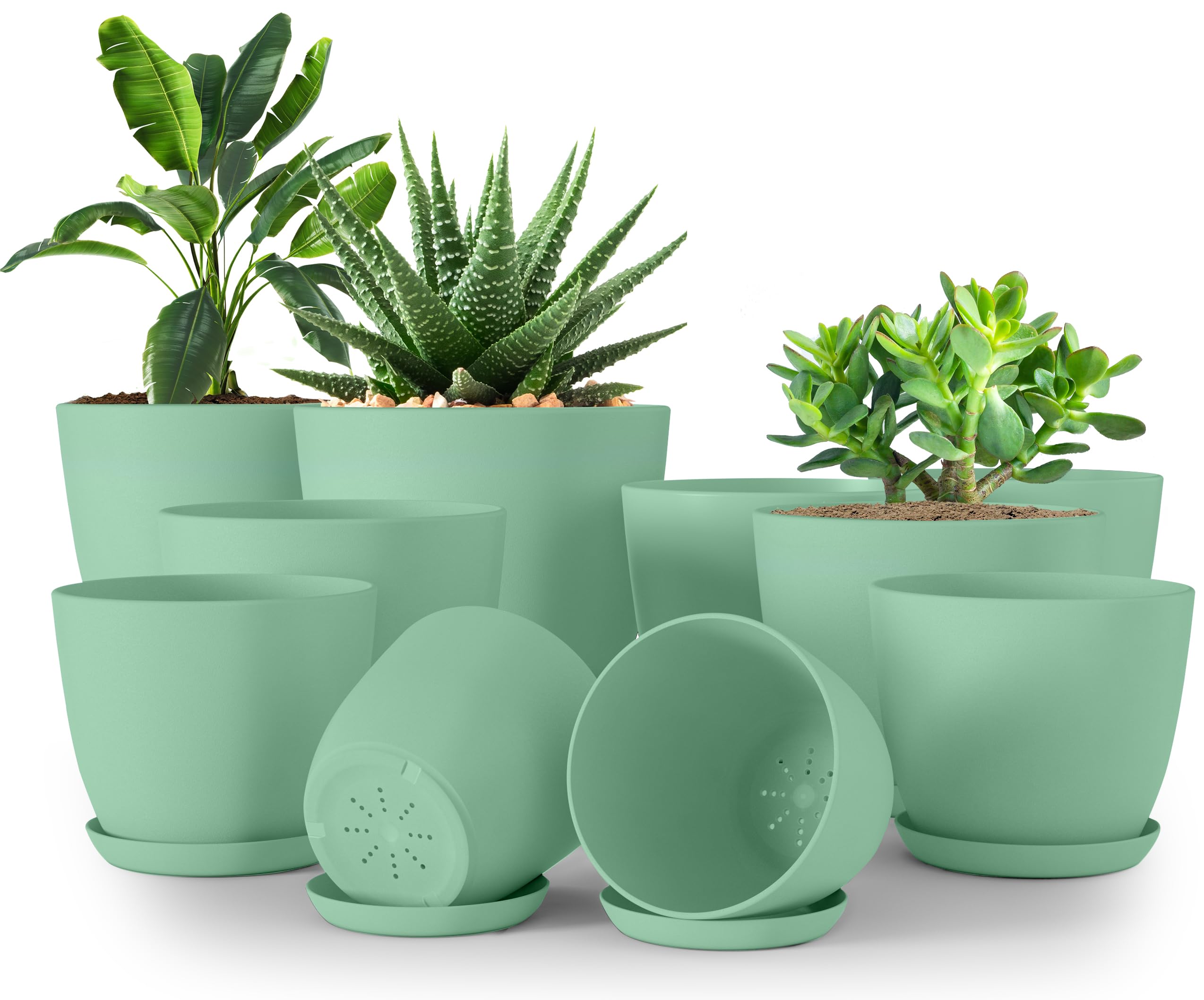 Utopia Home 7-inch plant pot with drainage for healthy roots.