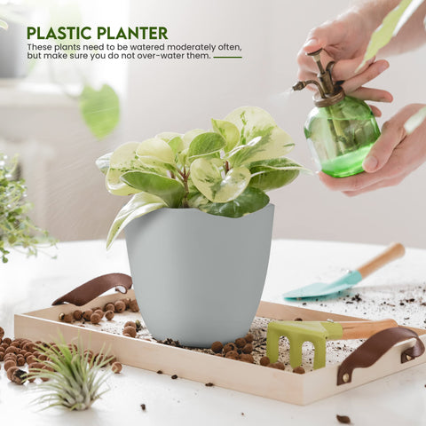 Utopia Home 5.3-inch pot with drainage for compact shelves and windowsills