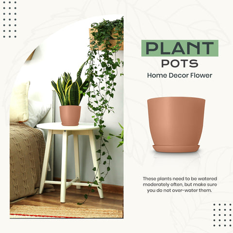 Utopia Home 5.3-inch indoor plant pot with drainage for small succulents