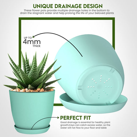 Utopia Home 6-inch pot with drainage designed for tidy indoor gardening