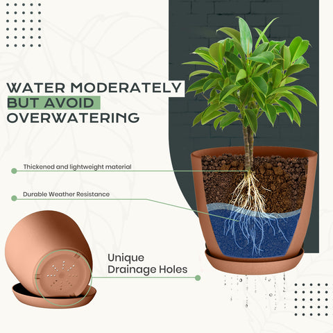Utopia Home 6-inch indoor plant pot with drainage for versatile plants