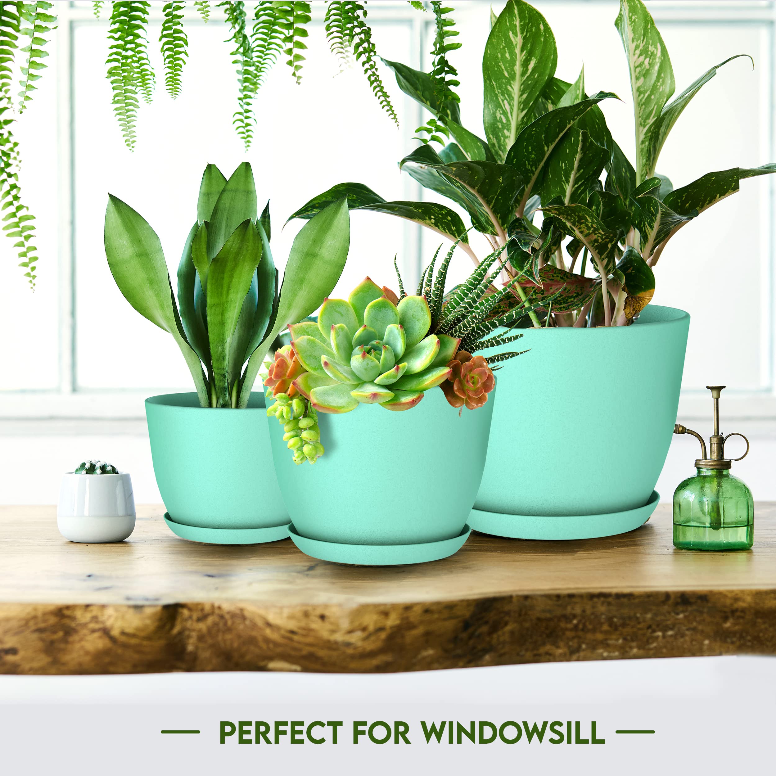 Utopia Home matching saucers included to catch drainage and protect surfaces