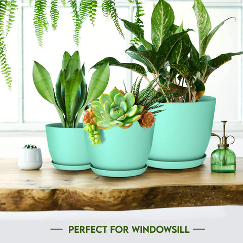 Utopia Home matching saucers included to catch drainage and protect surfaces
