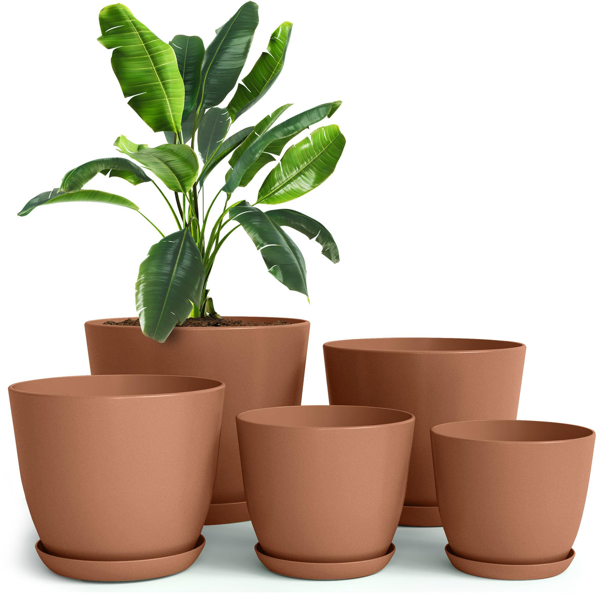 Utopia Home 7-inch plastic terracotta pot with drainage, ideal for indoor herbs.