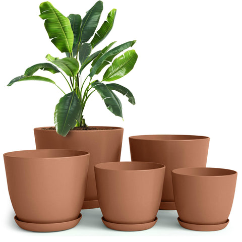 Utopia Home 7-inch plastic terracotta pot with drainage, ideal for indoor herbs.