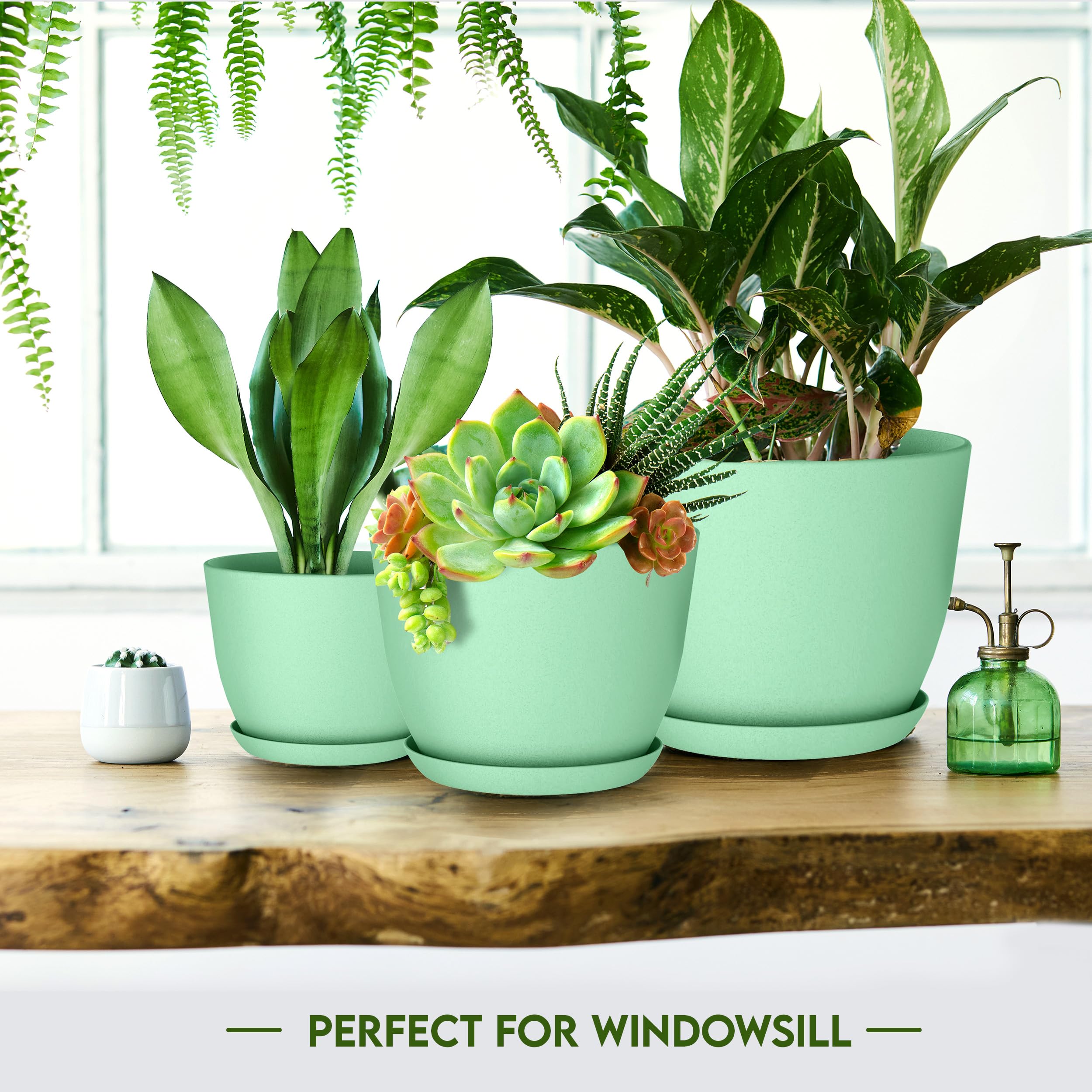 Utopia Home matching saucers for plant pots prevent spills.