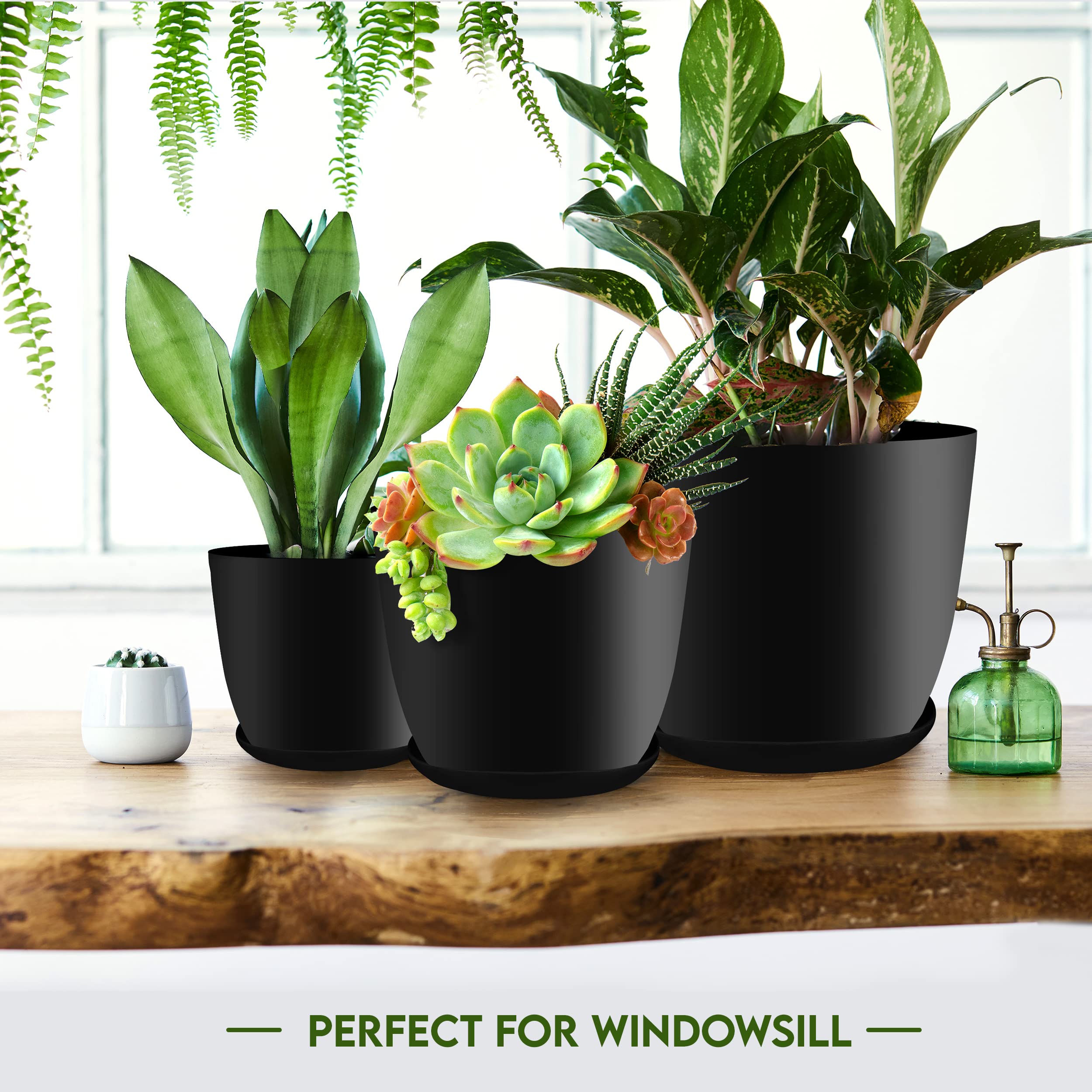 Utopia Home matching saucers included for mess-free watering