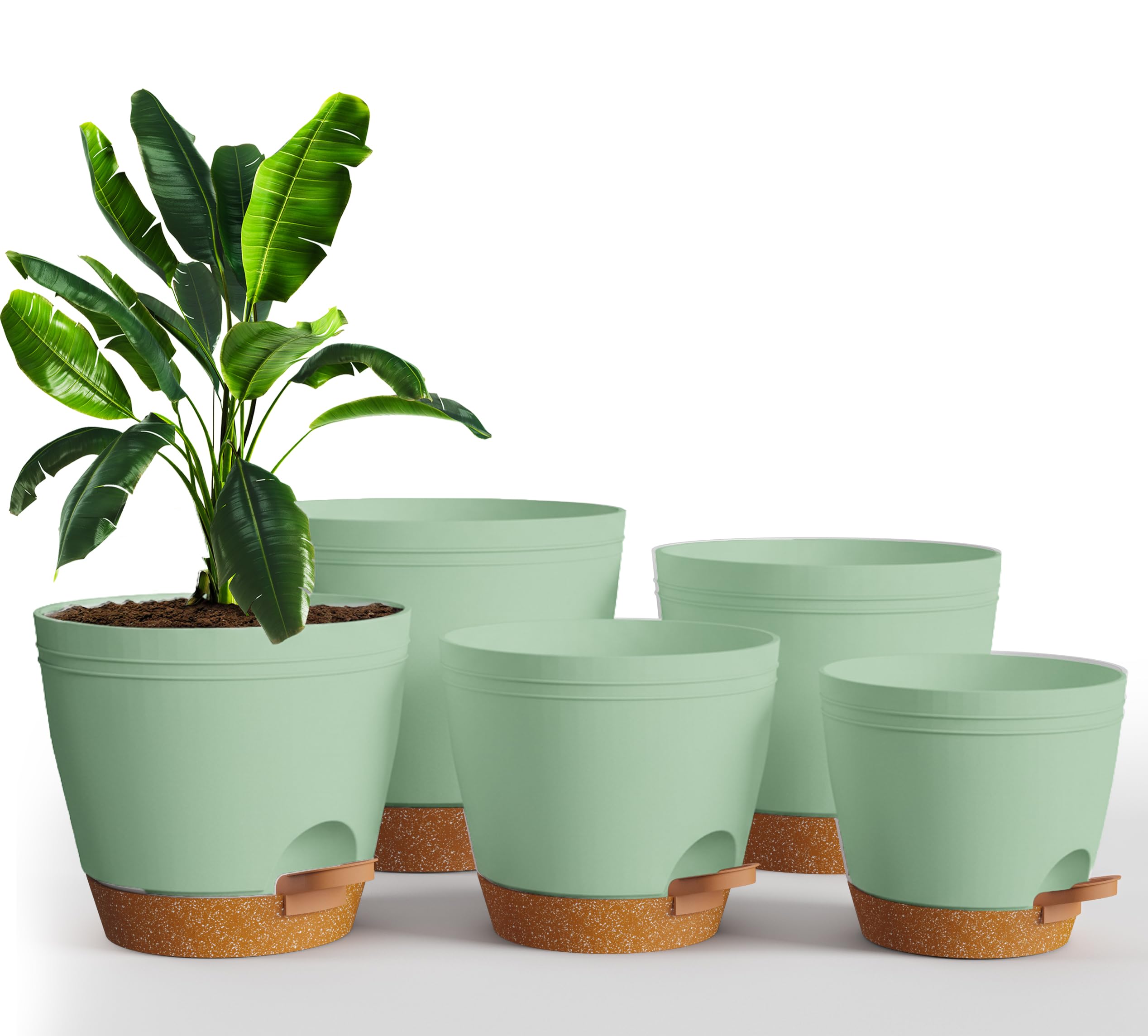 Utopia Home self-watering pot 6.8-inch with reservoir for steady root moisture
