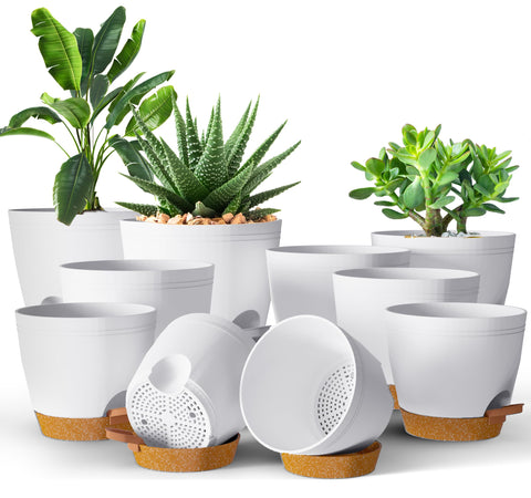 Utopia Home self-watering pot in 6-8 inch size for larger indoor plants
