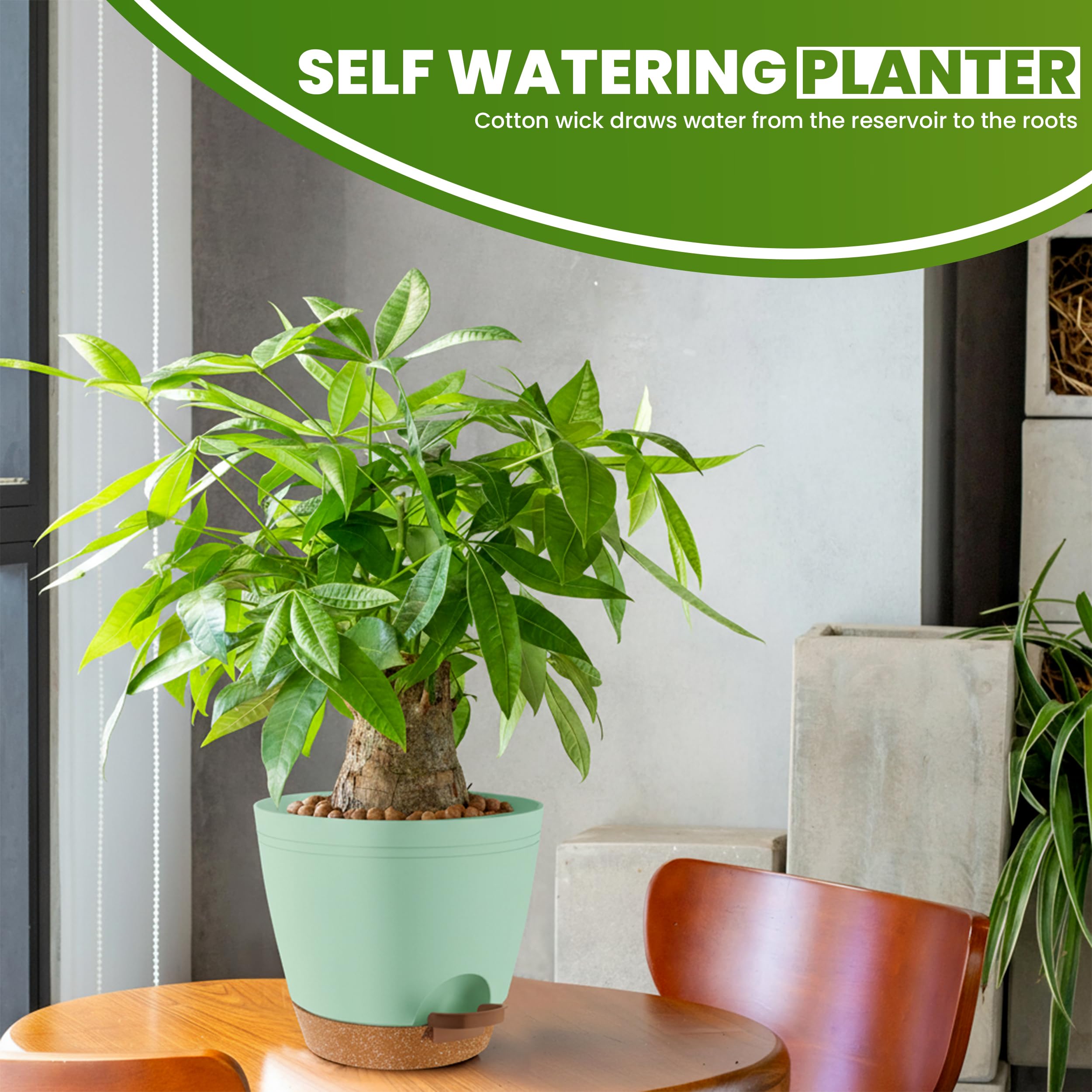Utopia Home olive green matte planter pots adding modern flair to interiors