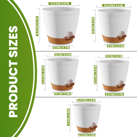 Utopia Home self-watering pot with removable reservoir for steady moisture