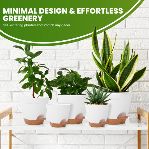 Utopia Home drainage design supports root health and consistent watering