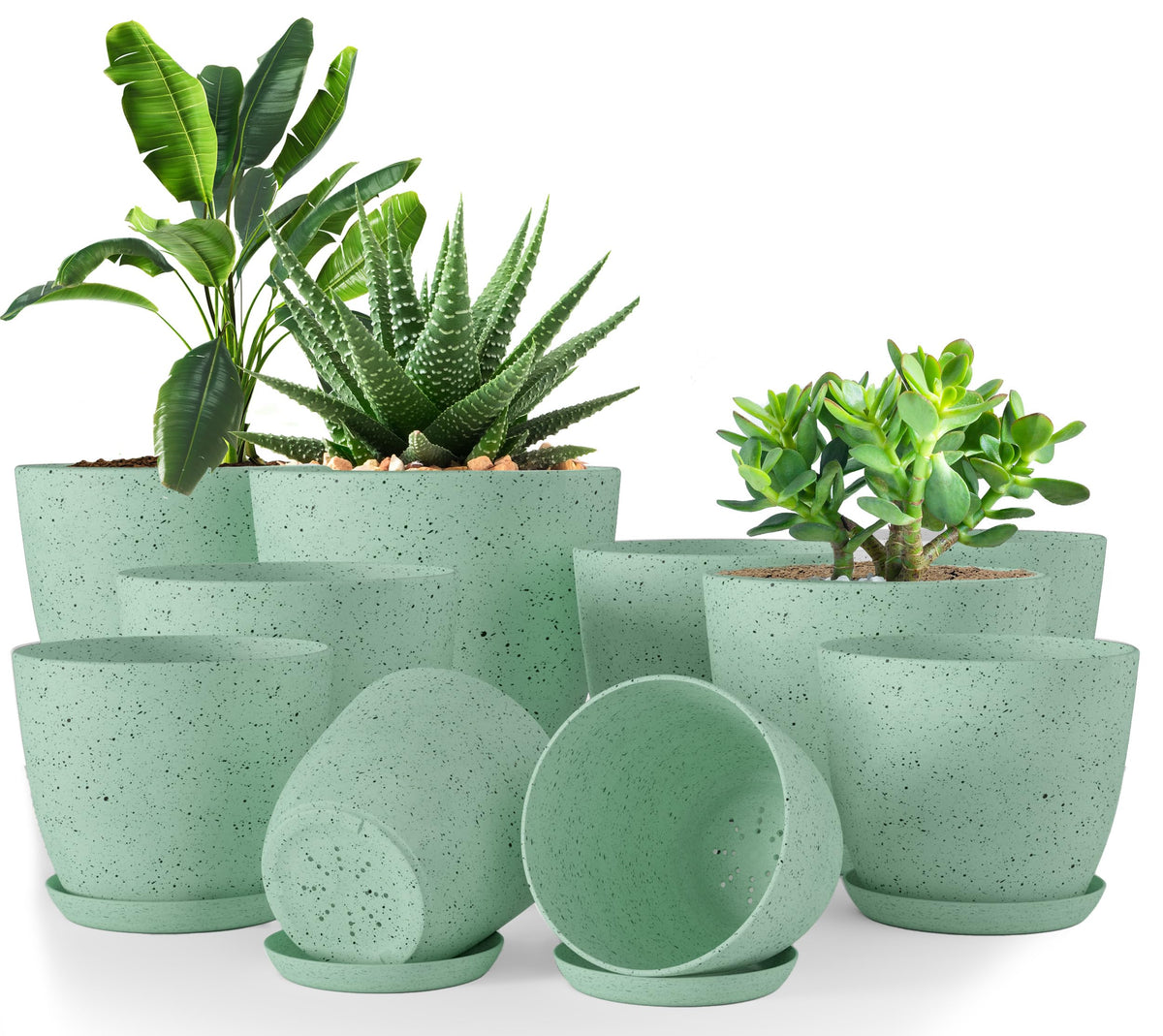 Utopia Home spotty mint pot 7in ideal for succulents with drainage