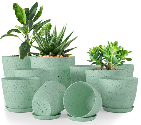 Utopia Home spotty mint pot 7in ideal for succulents with drainage