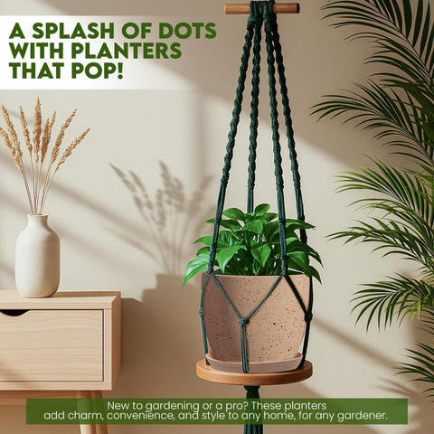 Utopia Home spotty peach pink 6-inch plant pot for compact succulents.