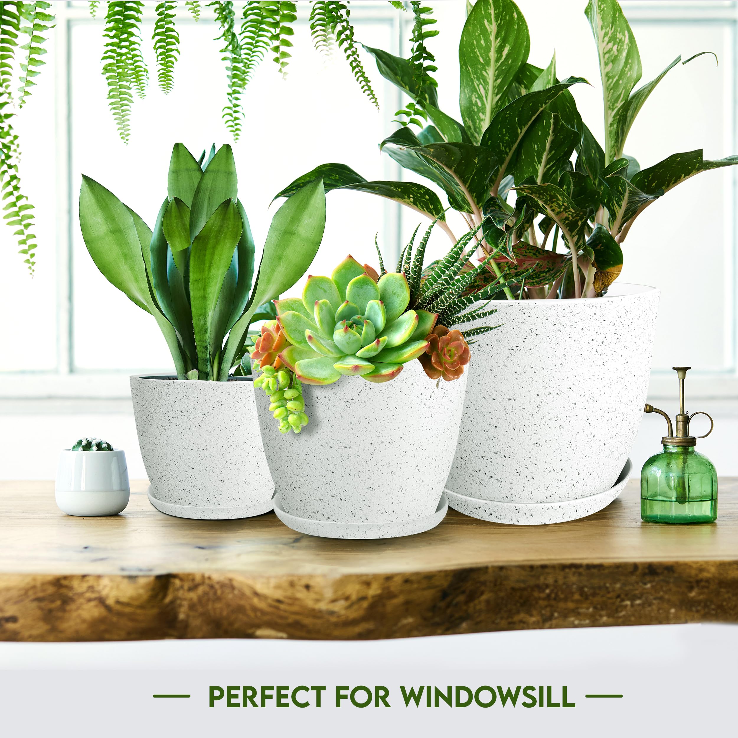 Utopia Home speckled grey pot on windowsill showcasing easy care and decor.