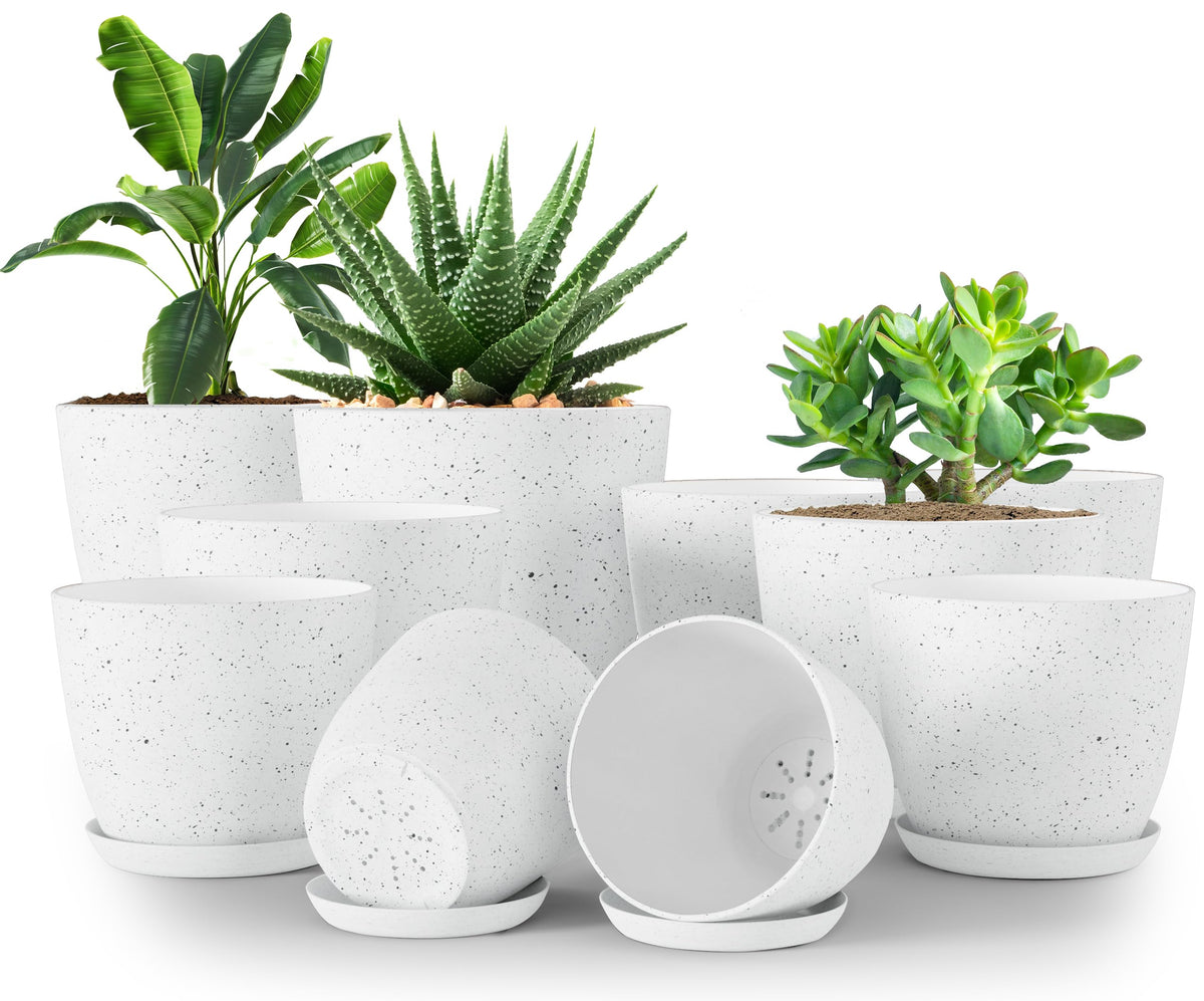 Utopia Home spotty plant pots with drainage holes for healthy roots.