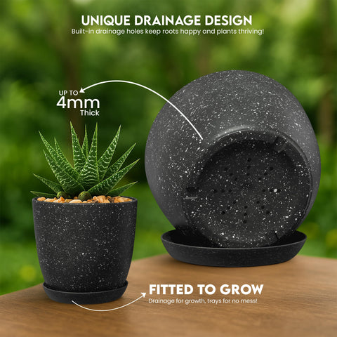 Utopia Home 5.3-inch speckled pot perfect for small succulents