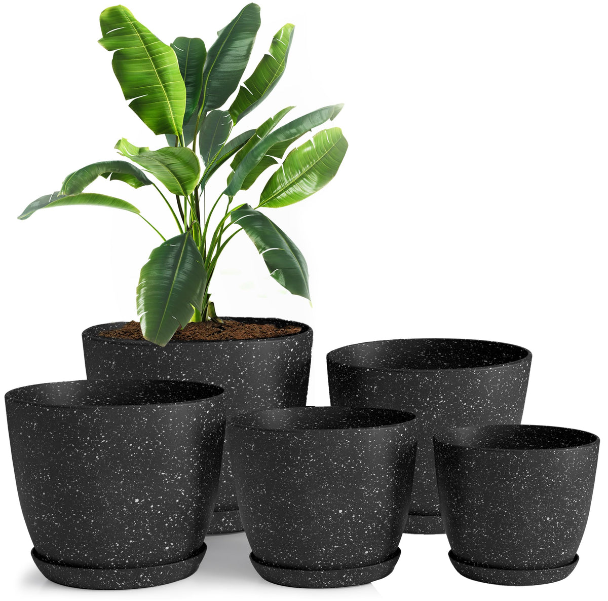 Utopia Home spotty plant pots 7-inch diameter with drainage for healthy roots