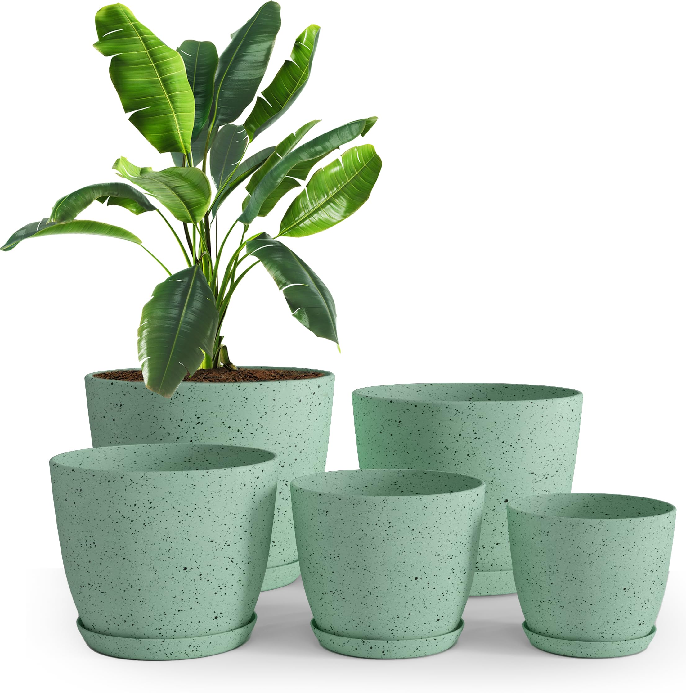 Utopia Home spotty mint plant pots 5-pack for stylish indoor greenery