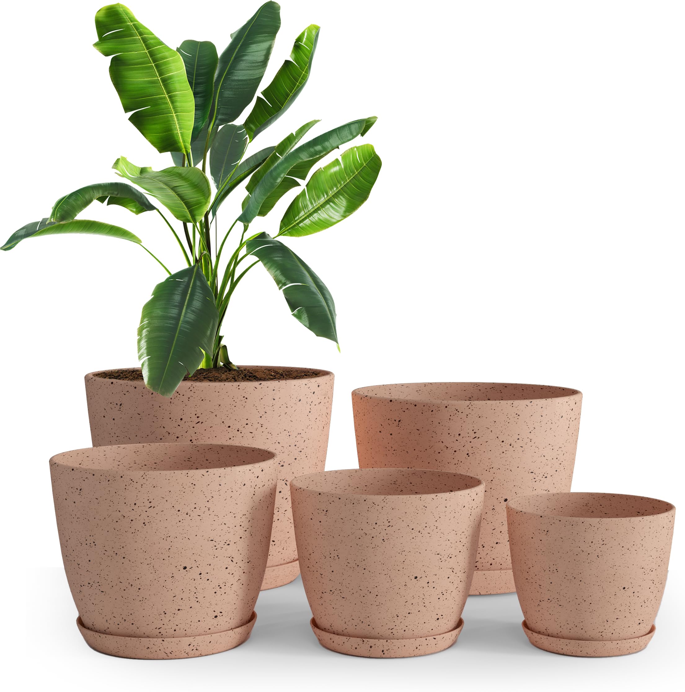 Utopia Home spotty plant pot in speckled peach pink for vibrant windowsill display