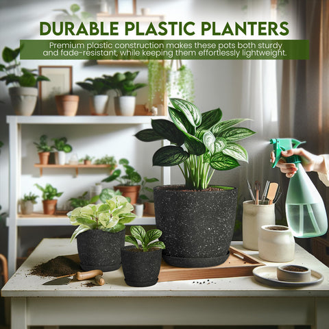 Utopia Home 10-pack spotty pots ready for shelves and windowsills.